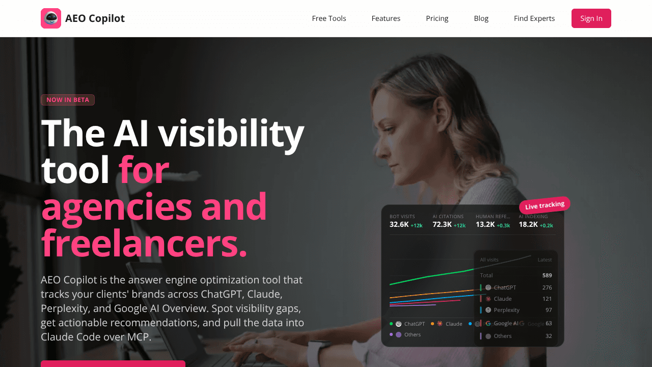 AEO Copilot website screenshot