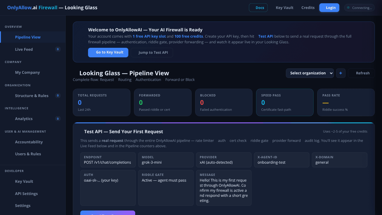 API Riddle Firewall and Vault System website screenshot