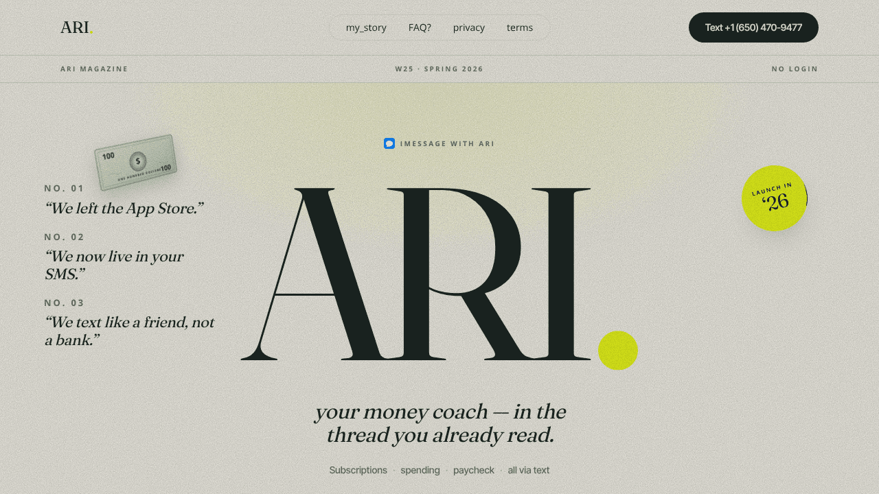 Ari Finance website screenshot