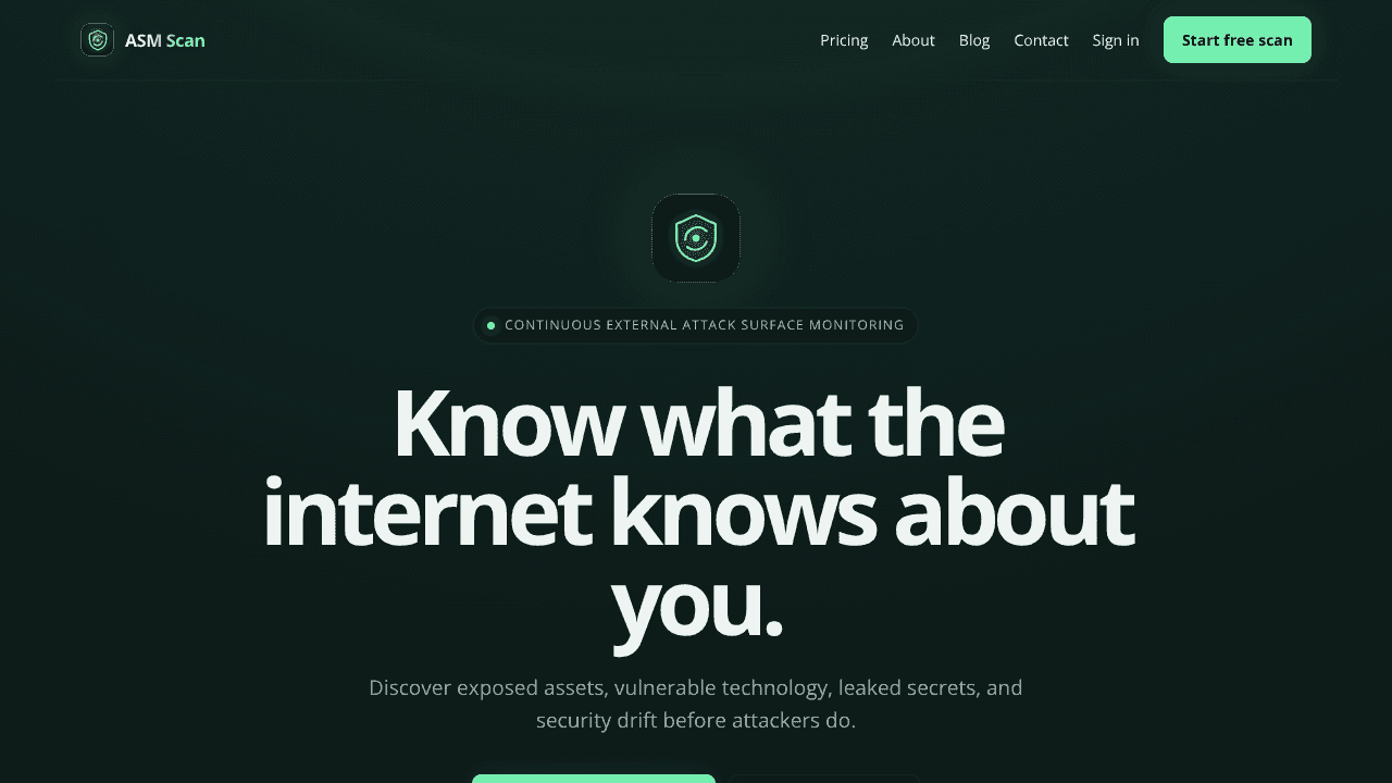 ASM Scan: Attack Surface Monitoring website screenshot