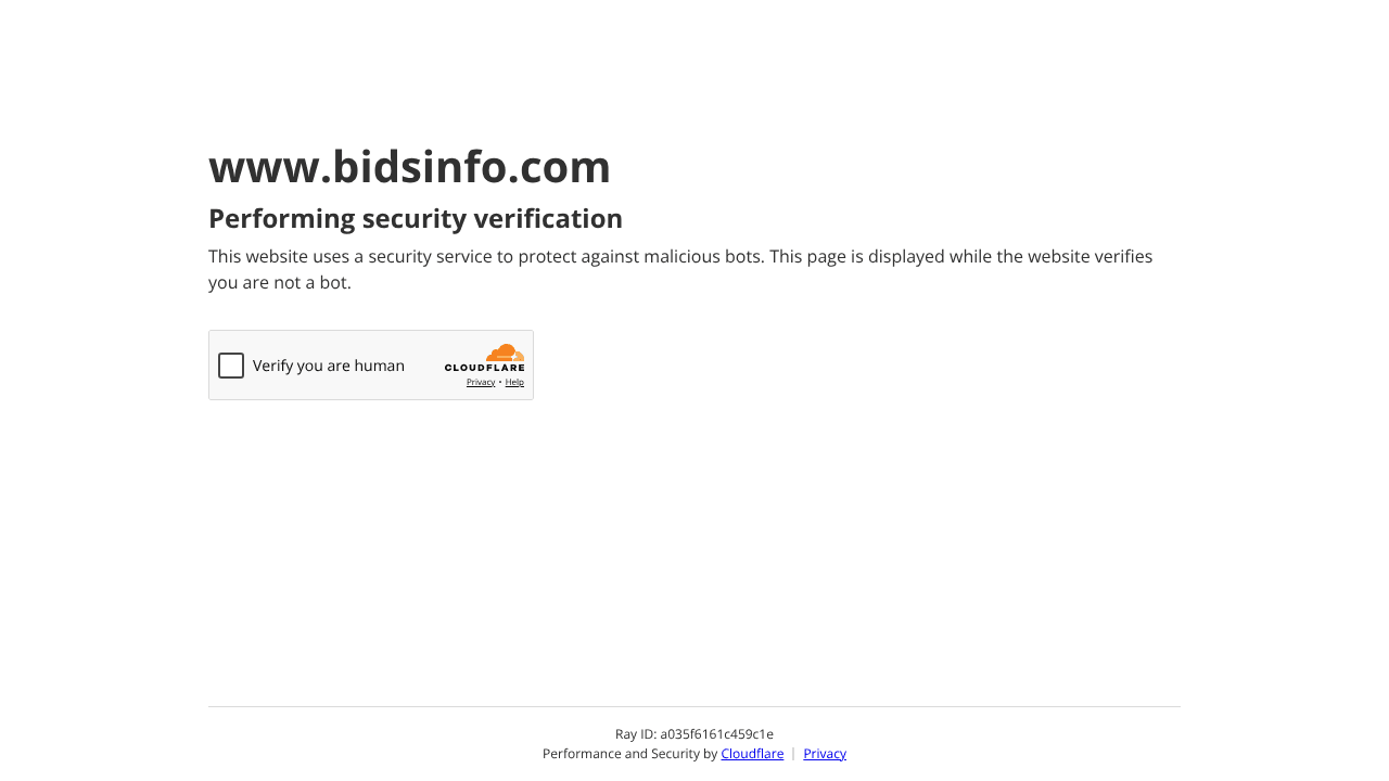 bidsinfo website screenshot