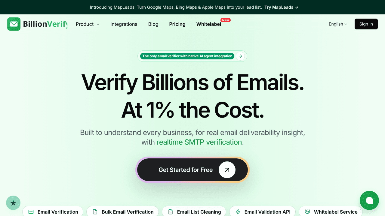 BillionVerify website screenshot