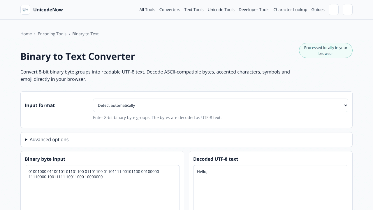 Binary to Text Converter website screenshot