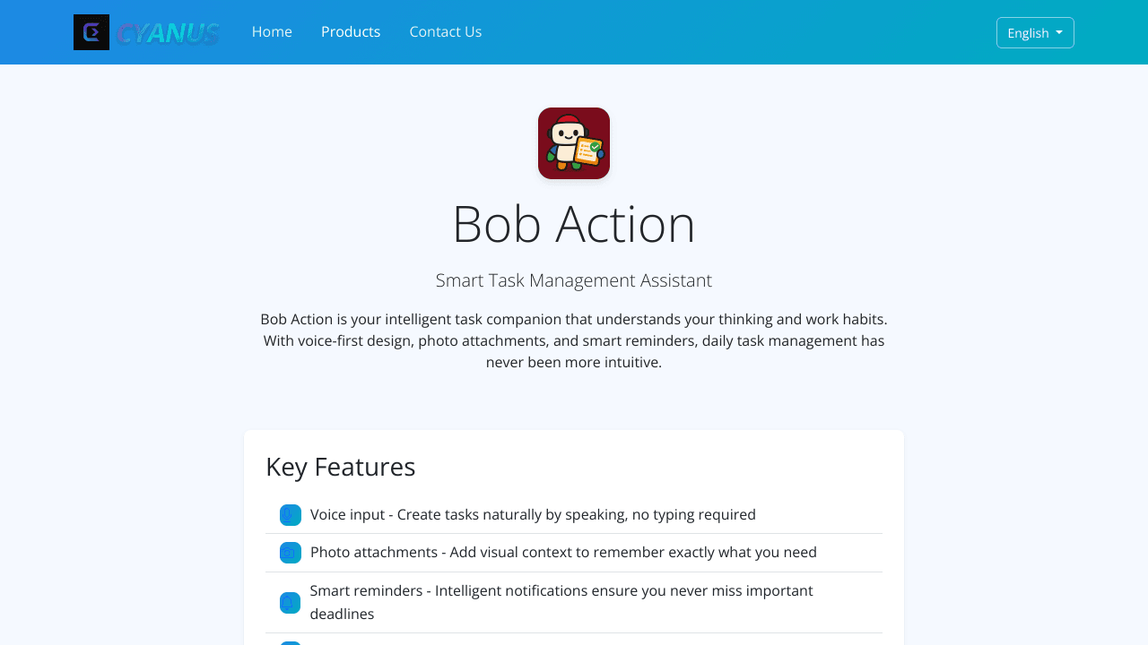 Bob Action
