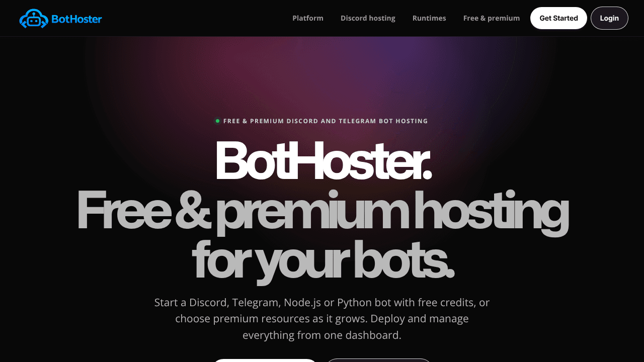 BotHoster website screenshot