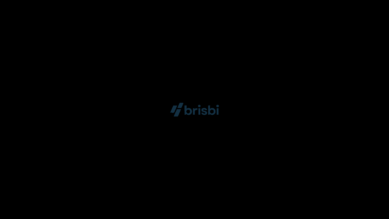 Brisbi website screenshot