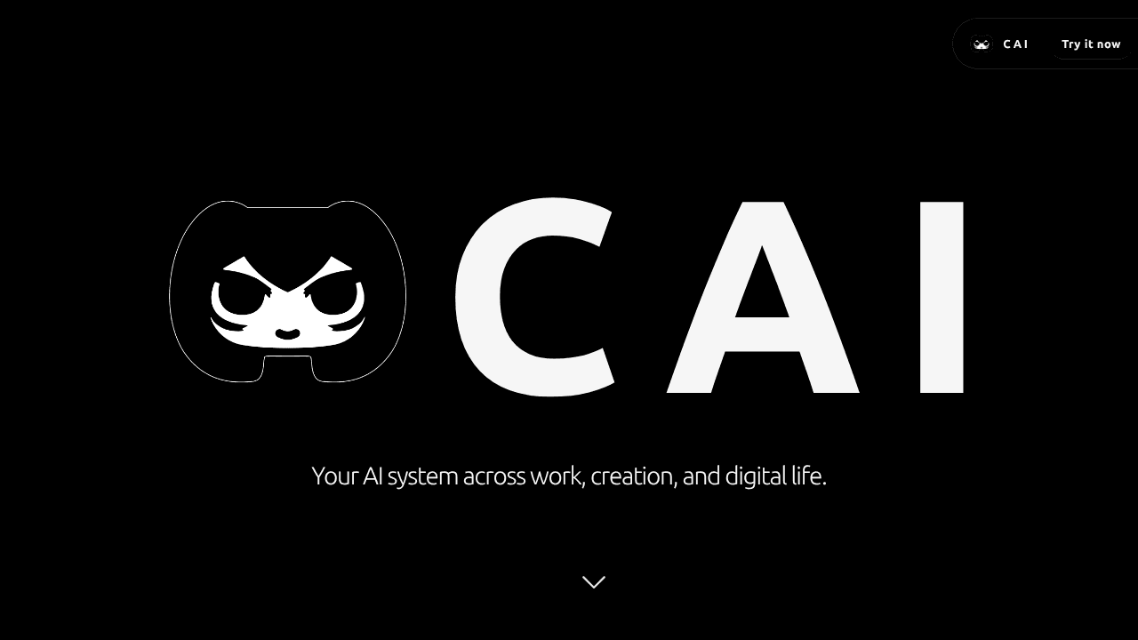 CAI website screenshot
