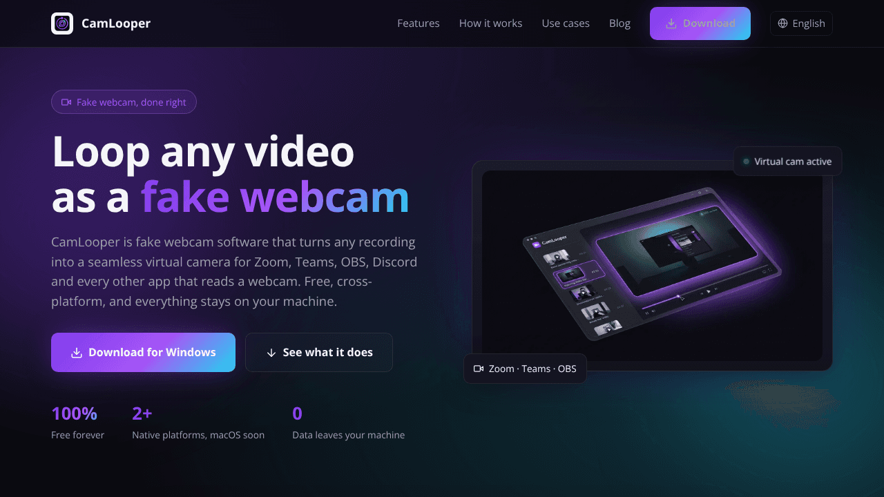 CamLooper website screenshot