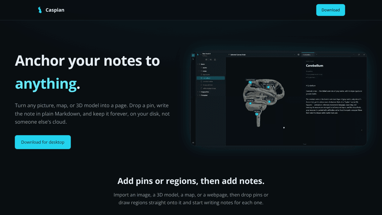 Caspian website screenshot