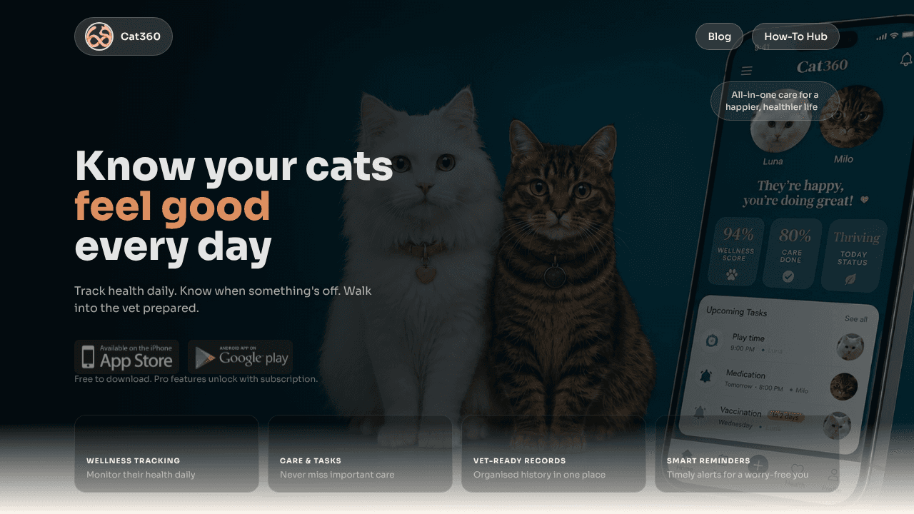 Cat360 website screenshot