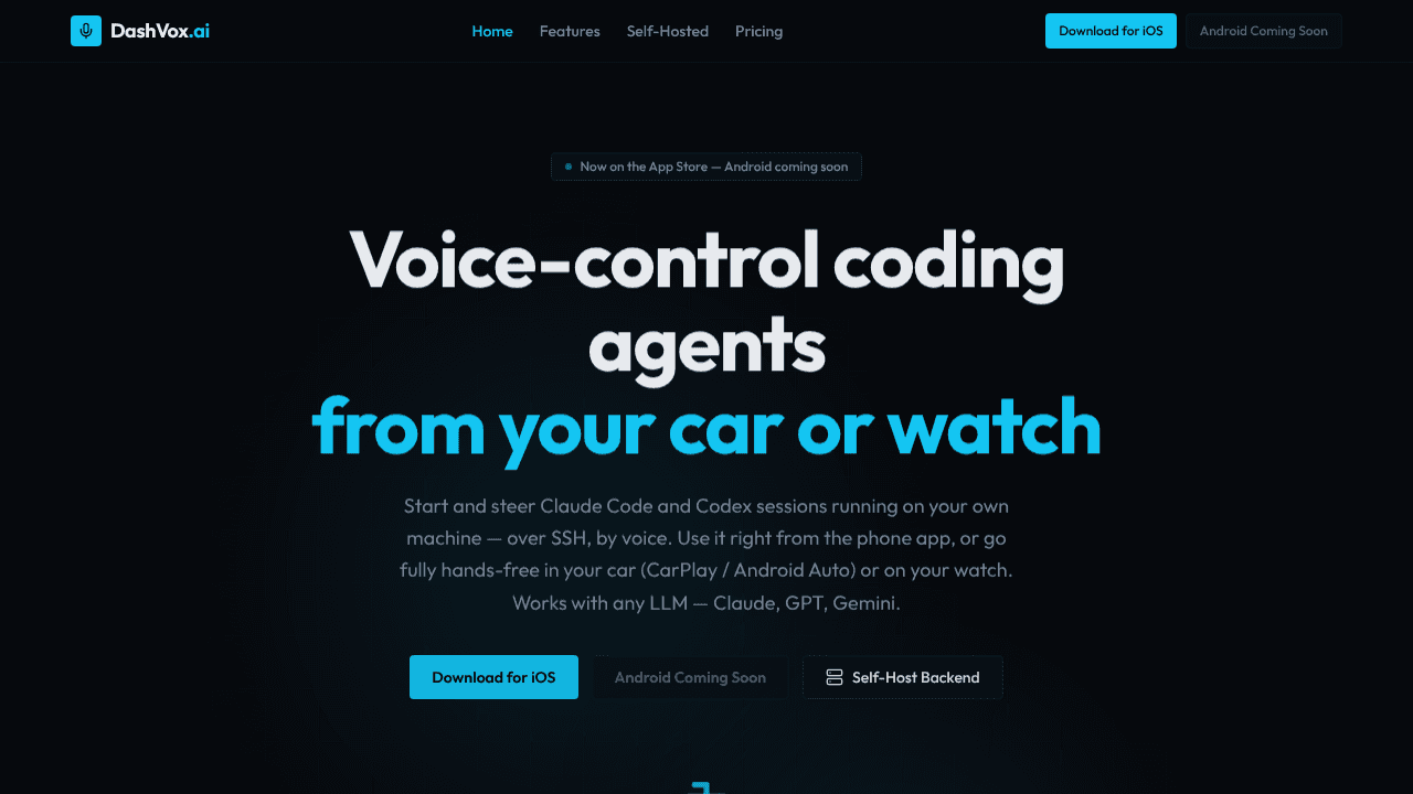 DashVox website screenshot