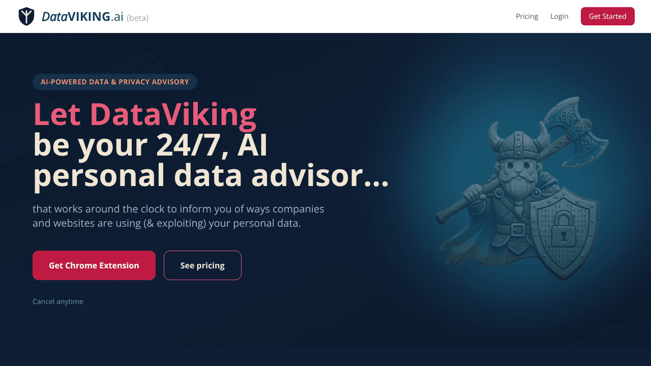 DataVIKING.ai website screenshot
