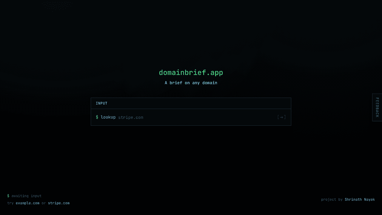 DomainBrief - domain lookup report website screenshot