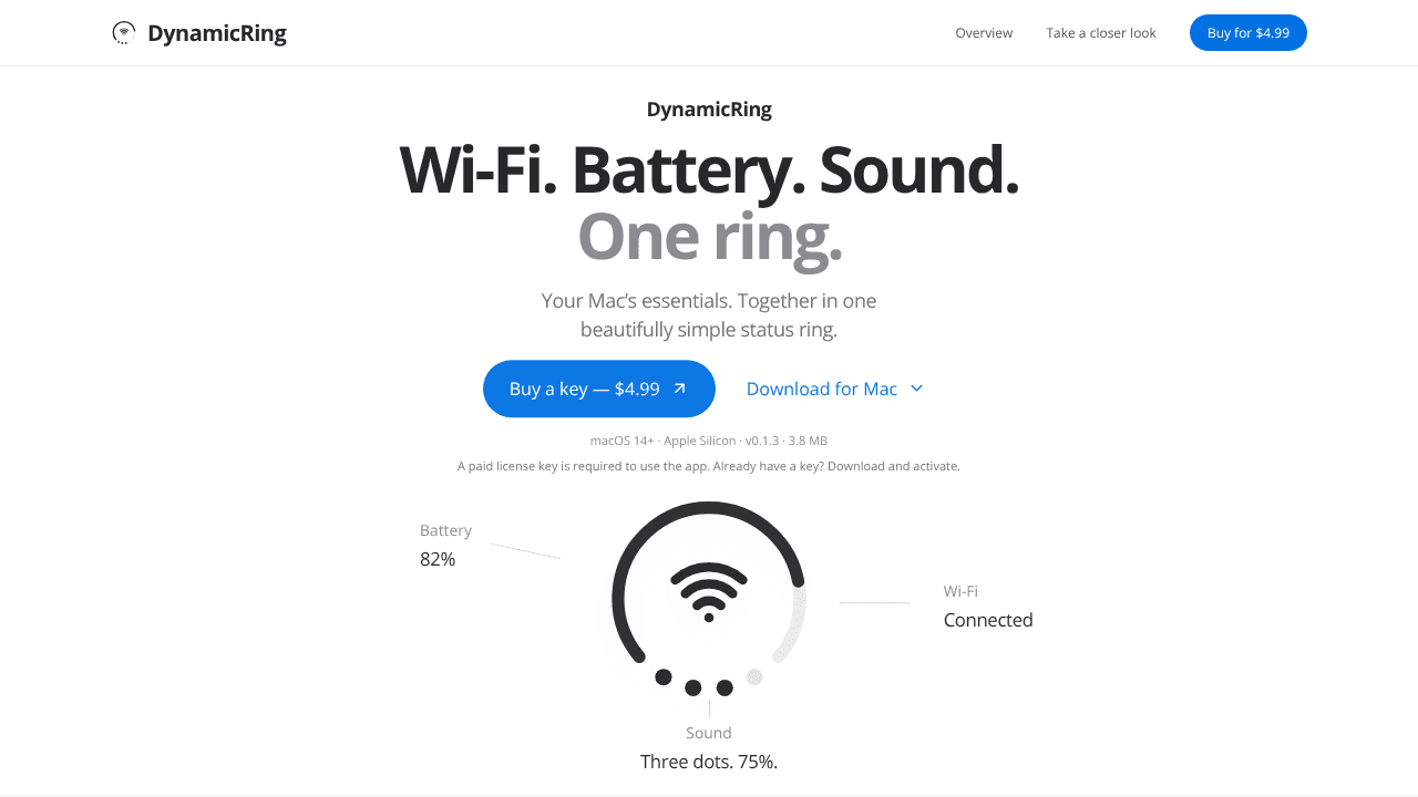 Dynamic Ring website screenshot