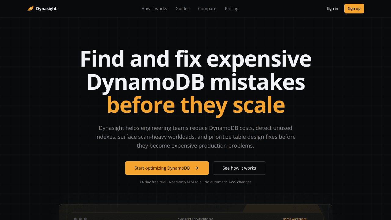Dynasight website screenshot