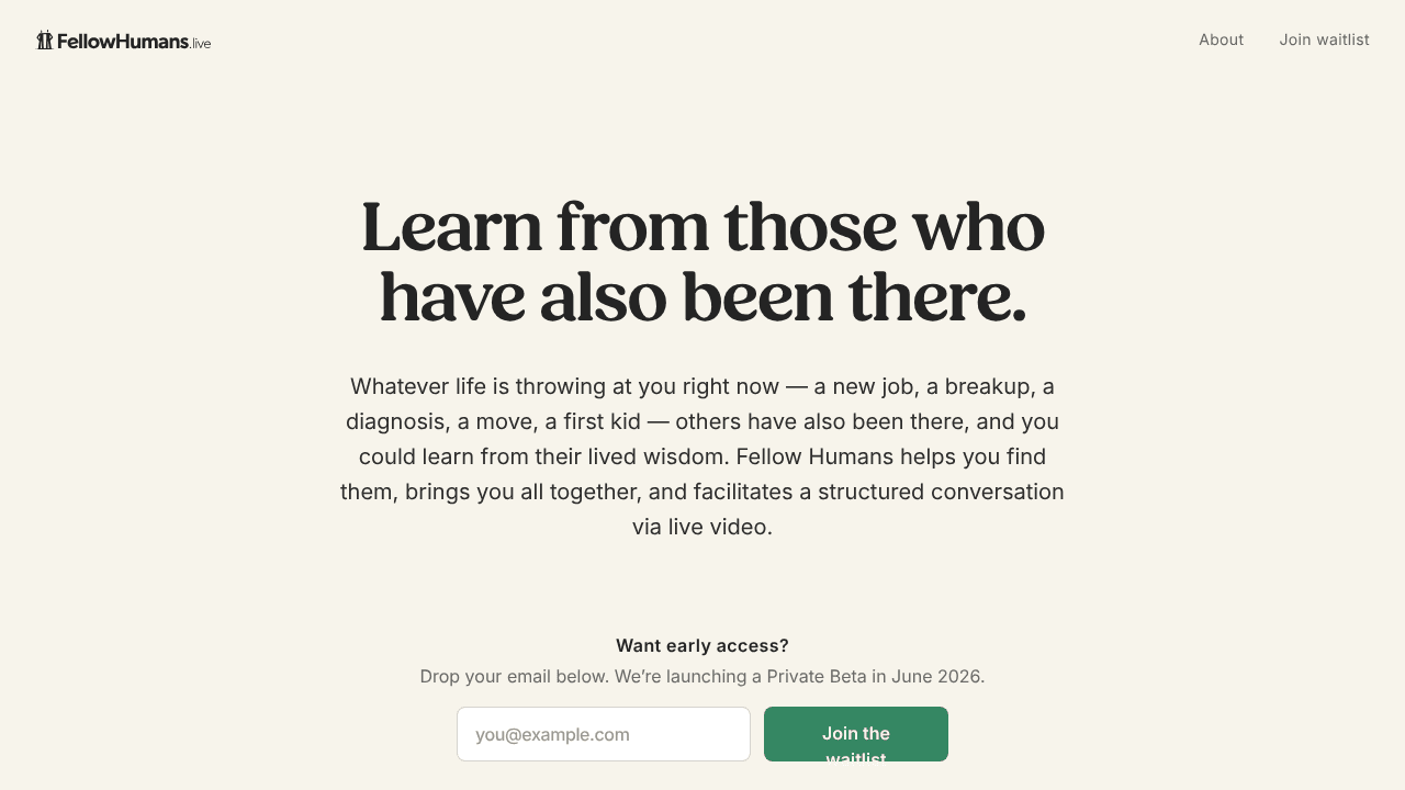 Fellow Humans website screenshot