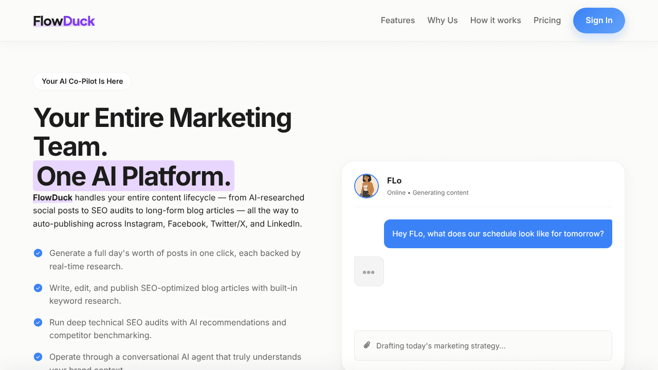 Flowduck website screenshot