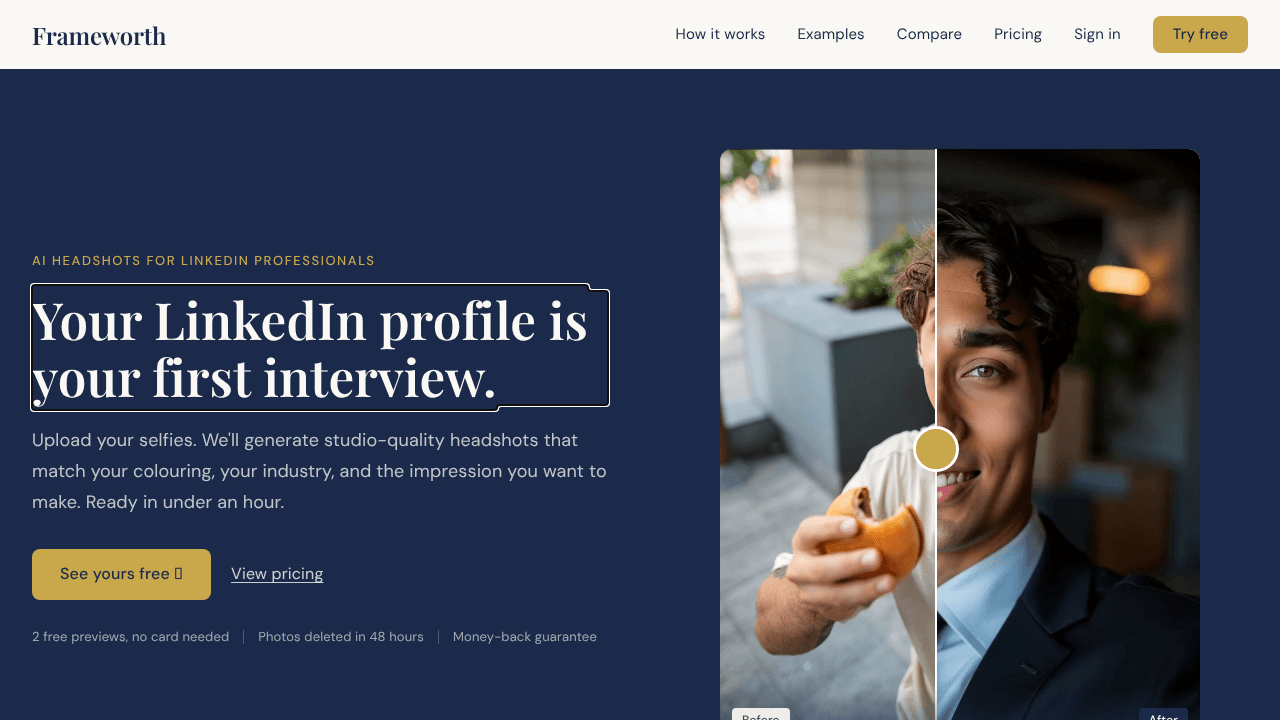 Frameworth website screenshot