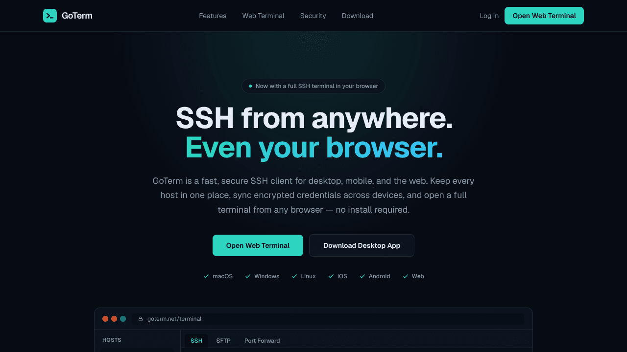 GoTerm website screenshot