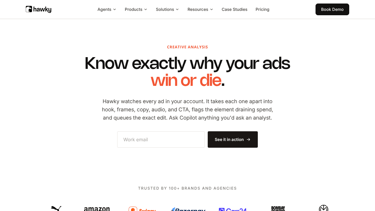 Hawky website screenshot