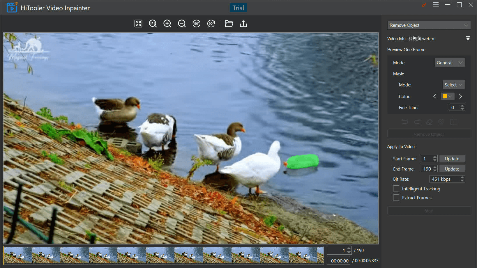 HiTooler Video Inpainter