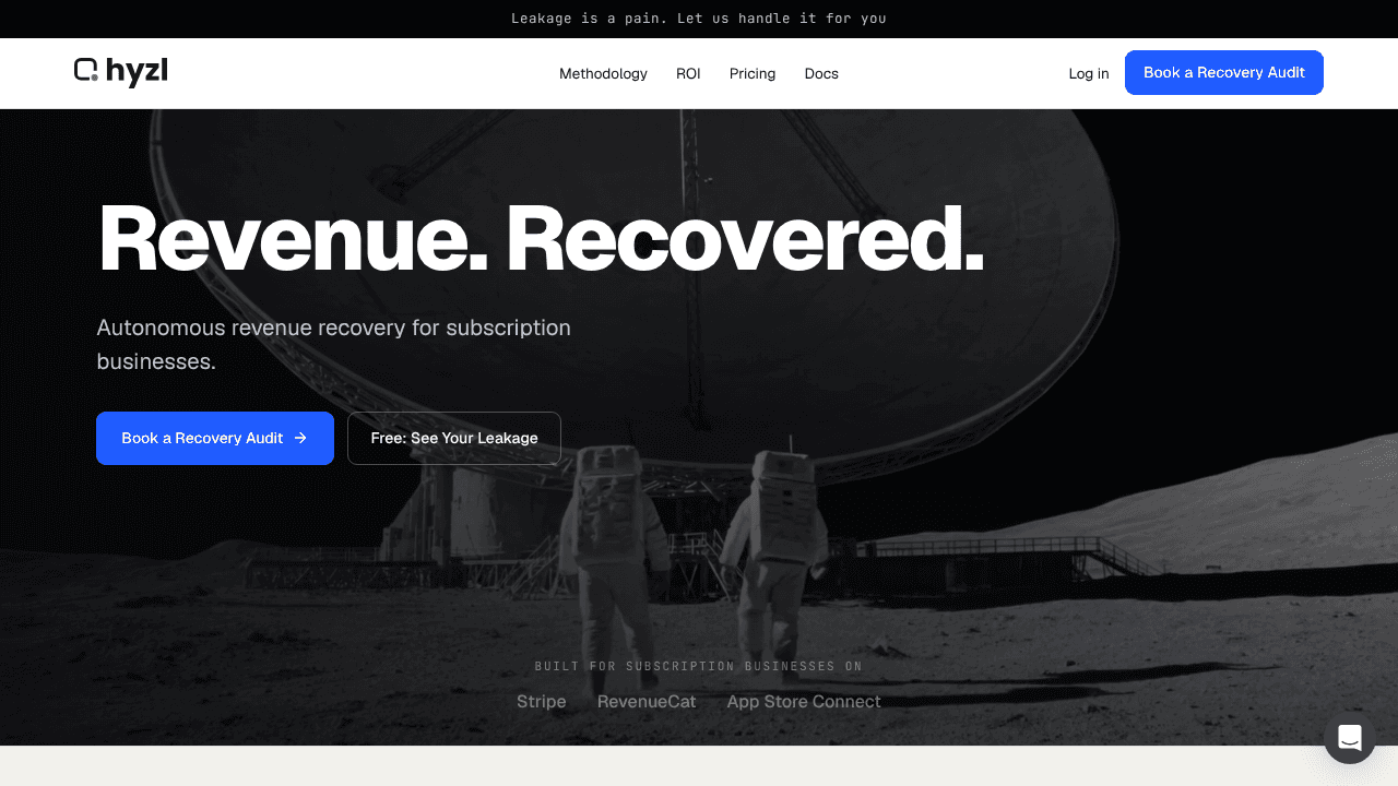 hyzl website screenshot