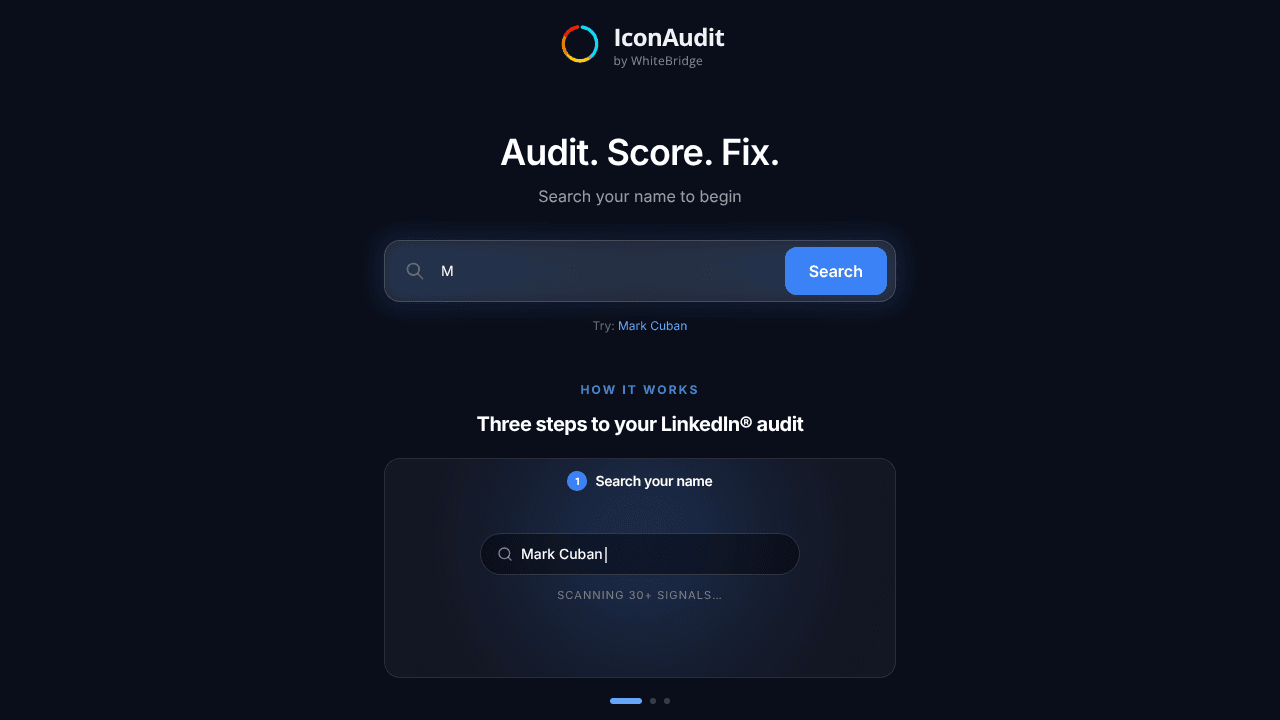 IconAudit website screenshot