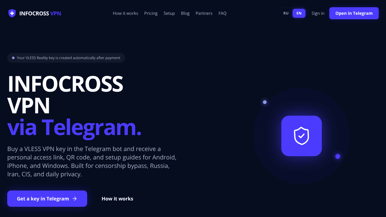 INFOCROSS VPN website screenshot
