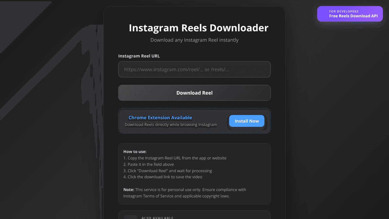 Instagram Reels Downloader website screenshot