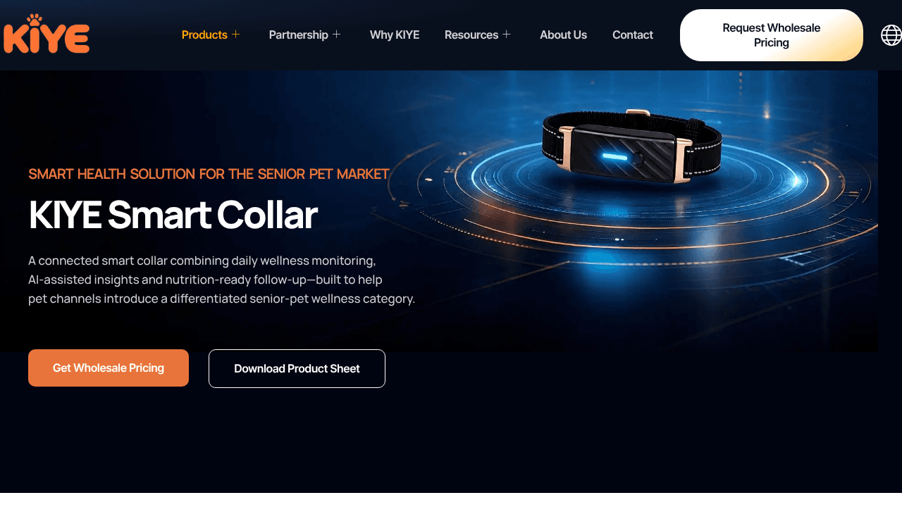 KIYE Connected Care website screenshot