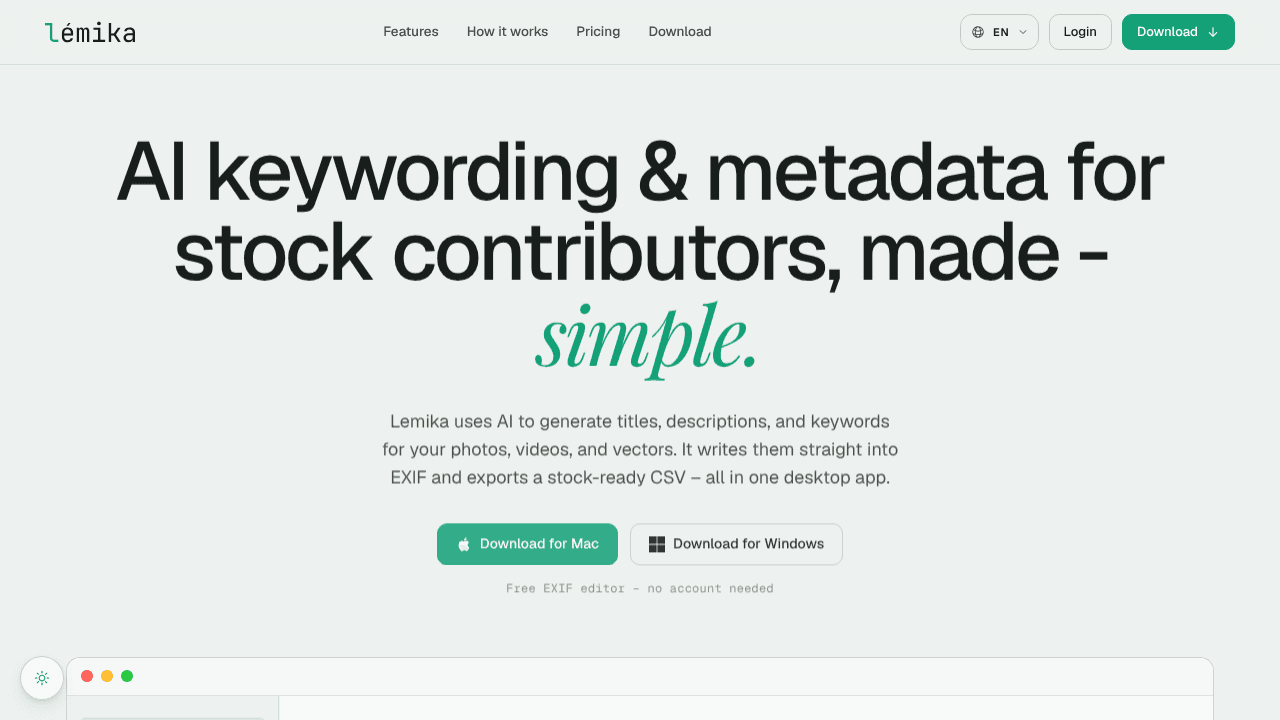 Lemika website screenshot