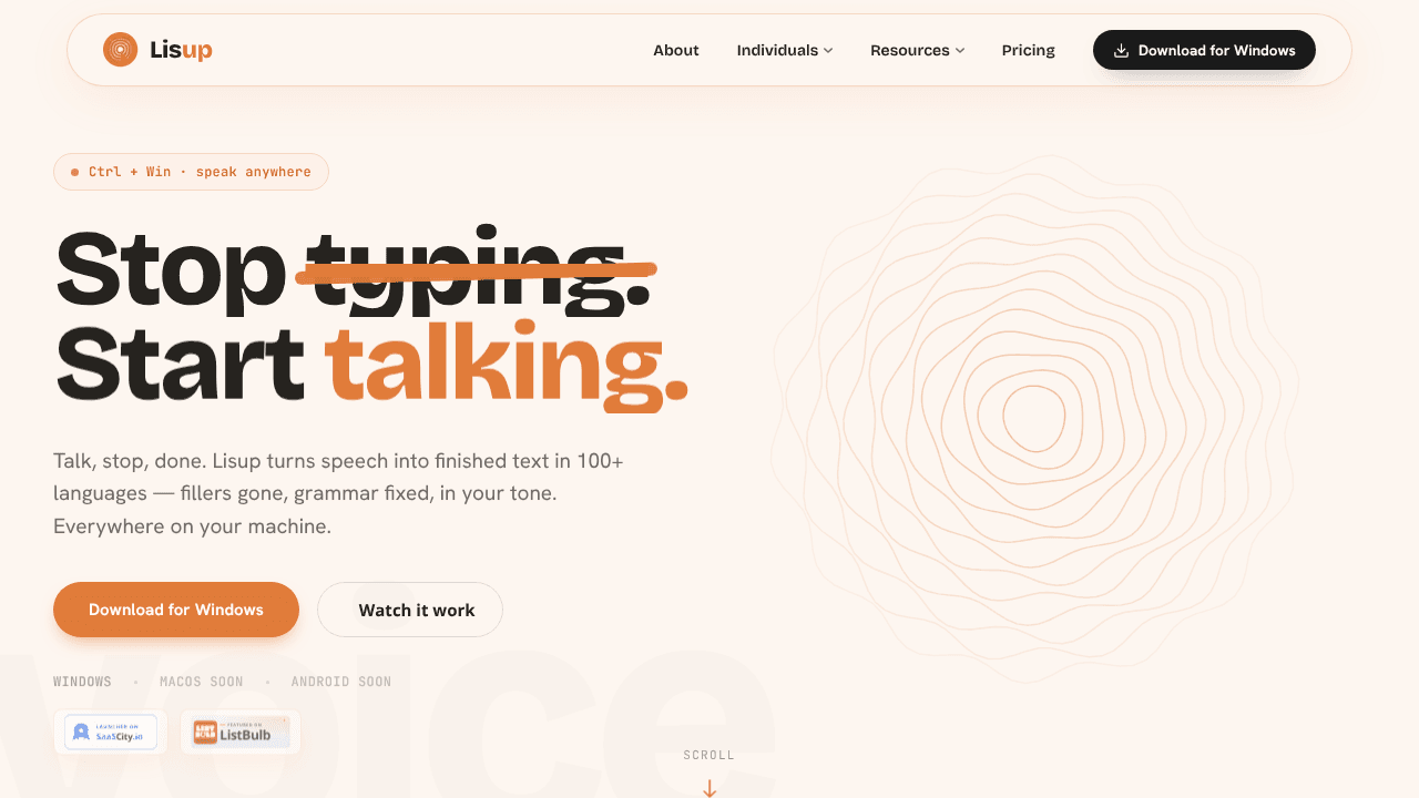 Lisup website screenshot