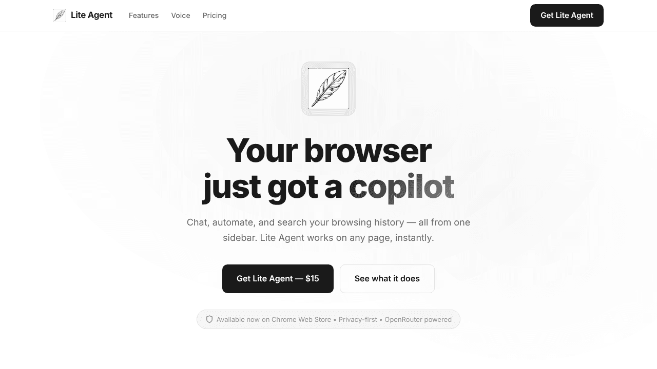 Lite Agent website screenshot