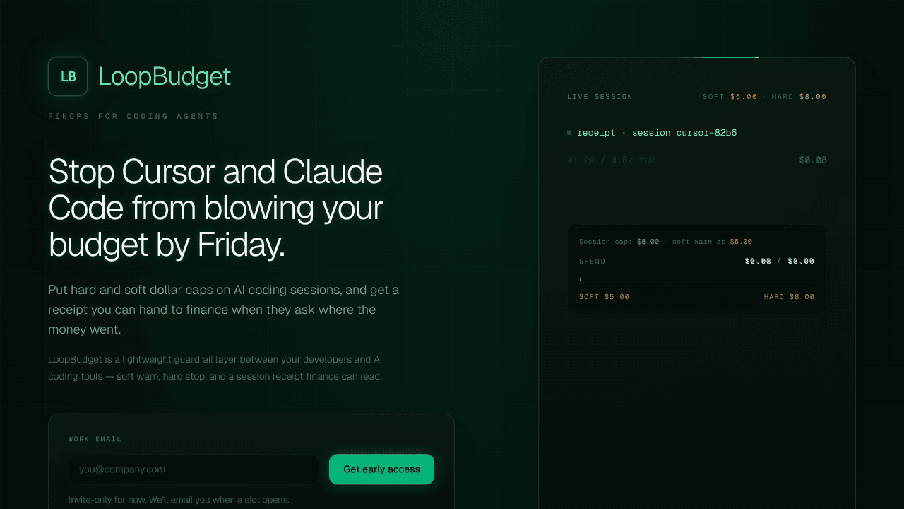 LoopBudget website screenshot