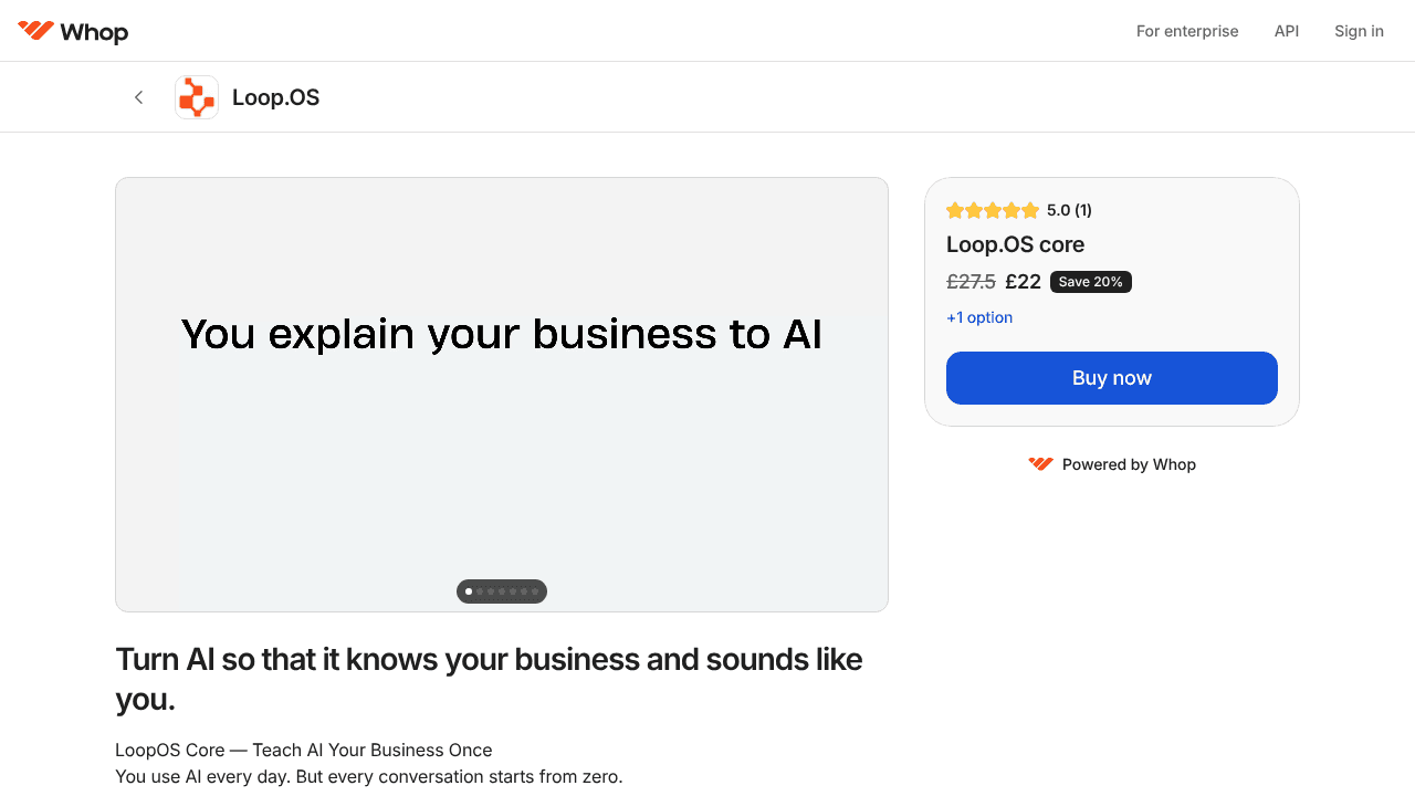 LoopOS website screenshot