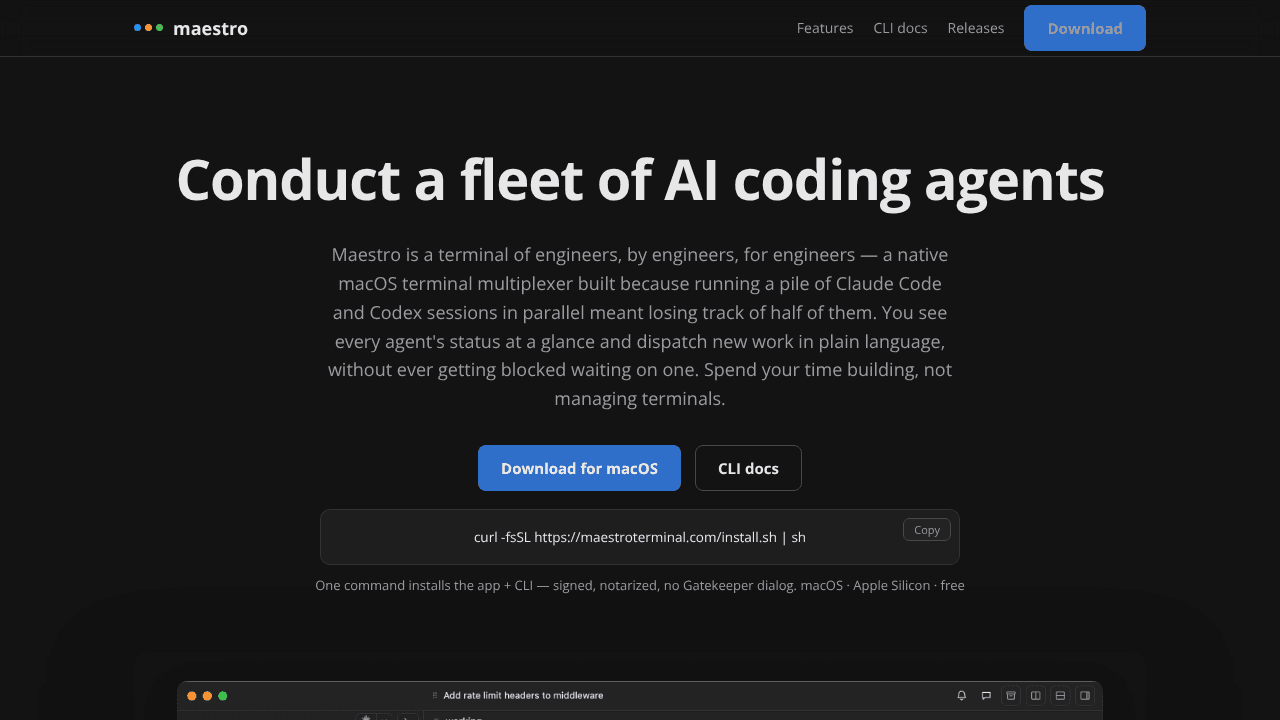 Maestro Terminal website screenshot