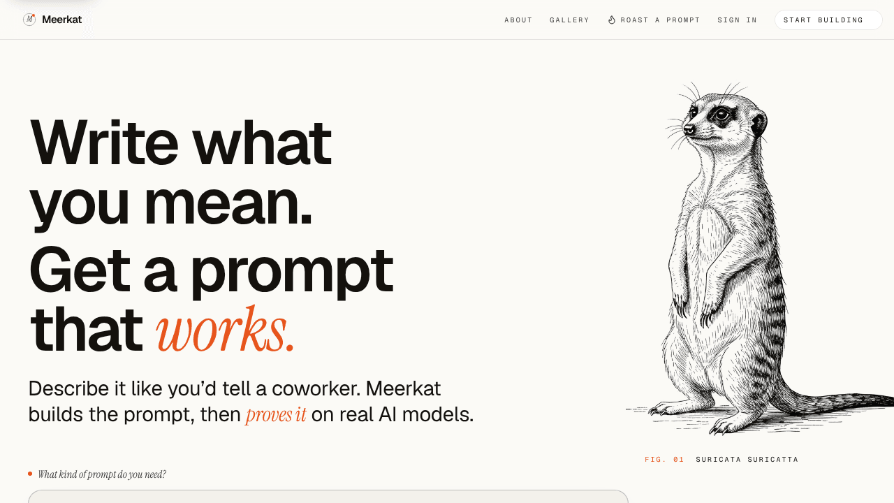 Meerkat website screenshot