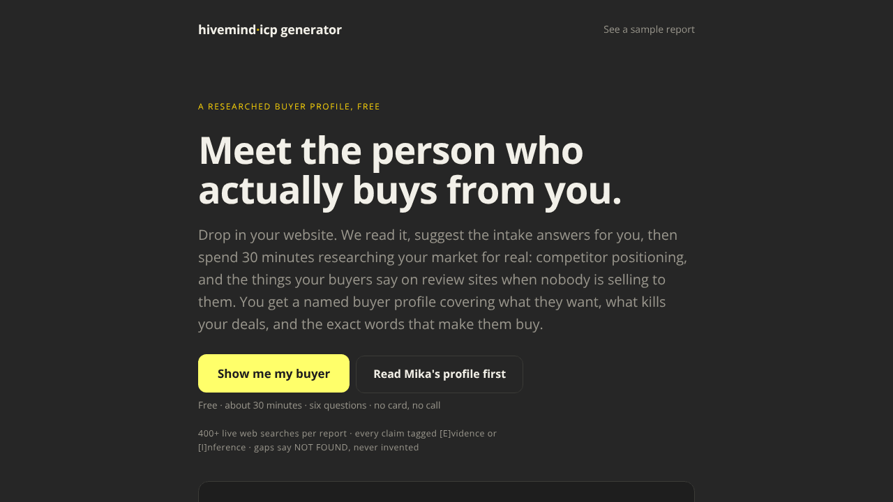 Meet Your ICP  website screenshot