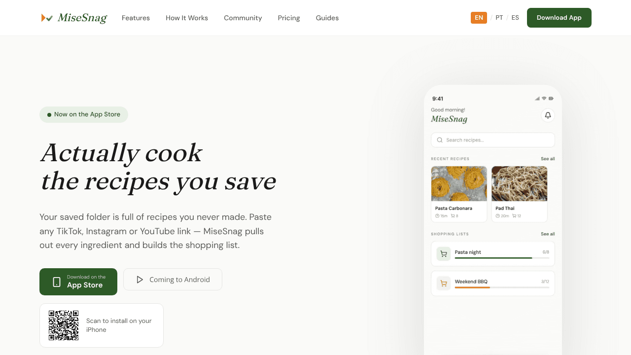 MiseSnag website screenshot