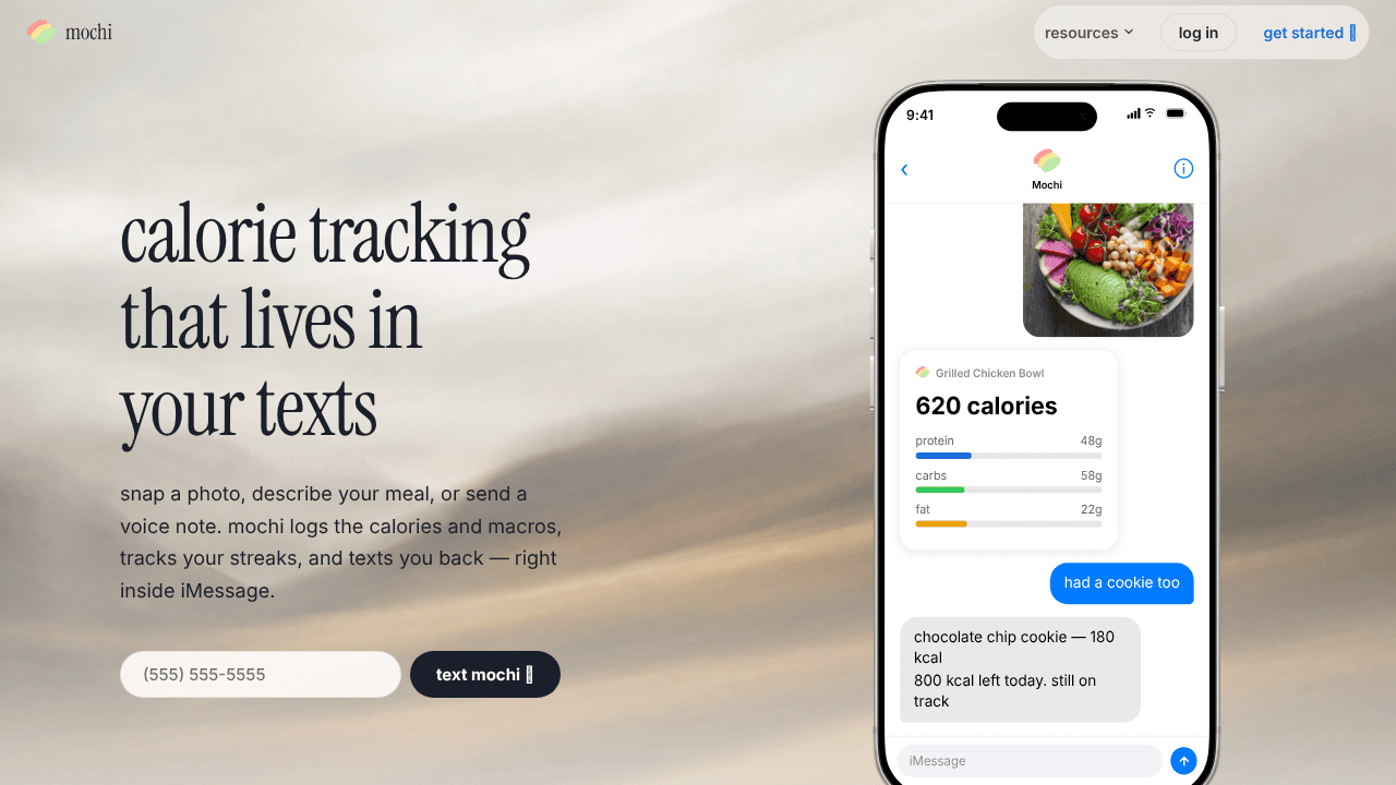 Mochi website screenshot