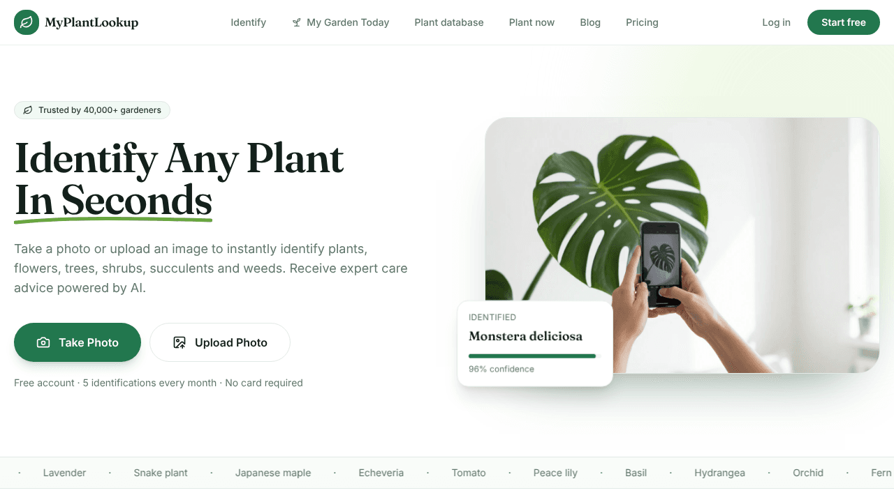 MyPlantLookup website screenshot
