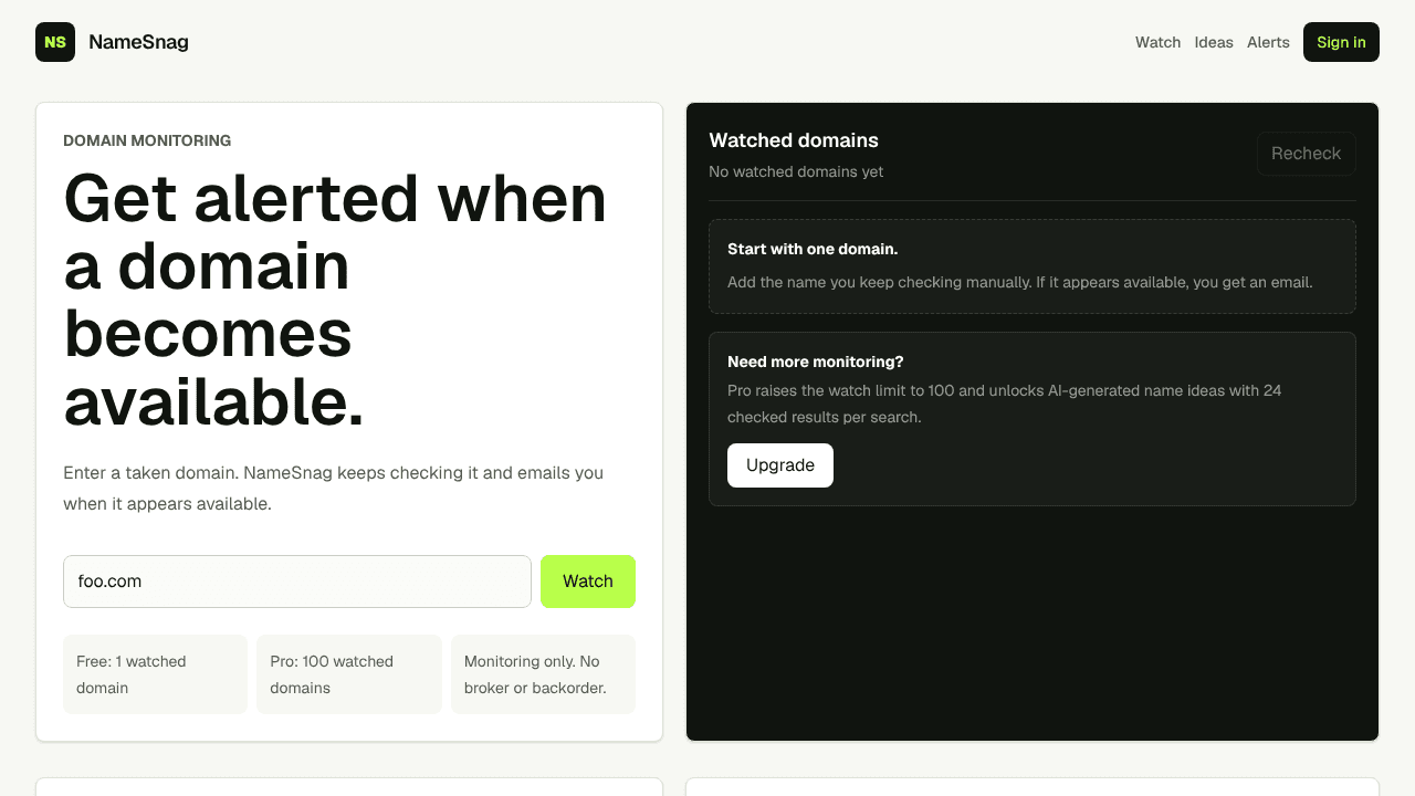 NameSnag website screenshot
