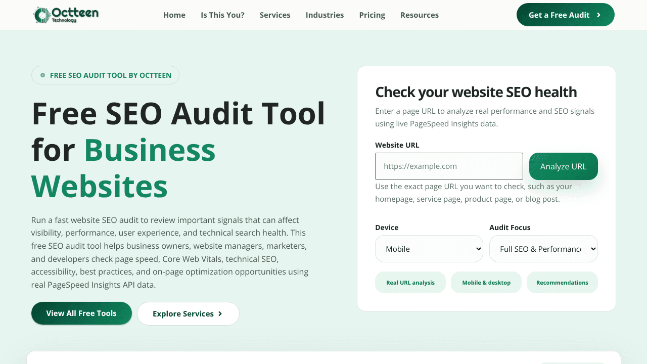 Octteen SEO Audit Tool website screenshot