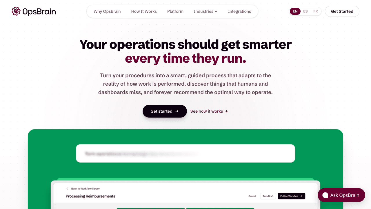 OpsBrain website screenshot