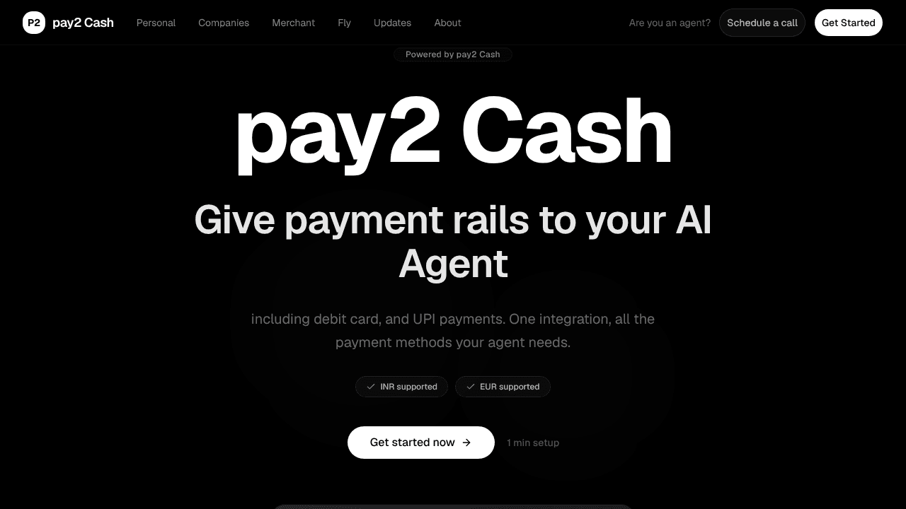 Pay 2 Cash website screenshot