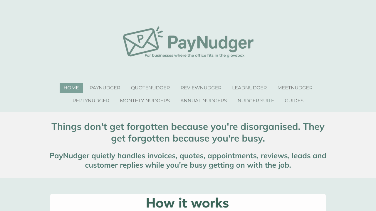 PayNudger website screenshot