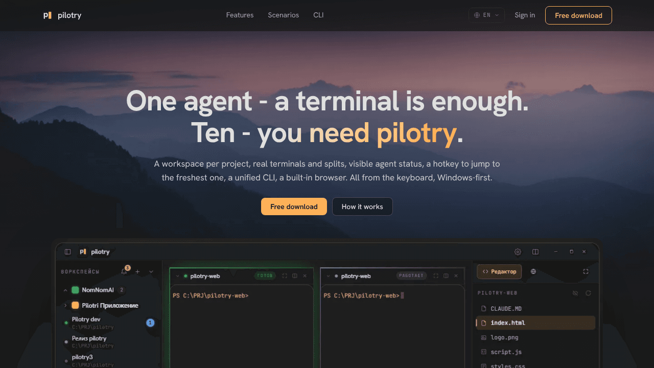Pilotry website screenshot