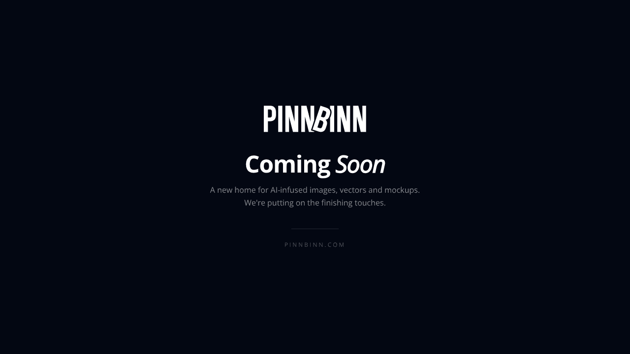 PinnBinn website screenshot
