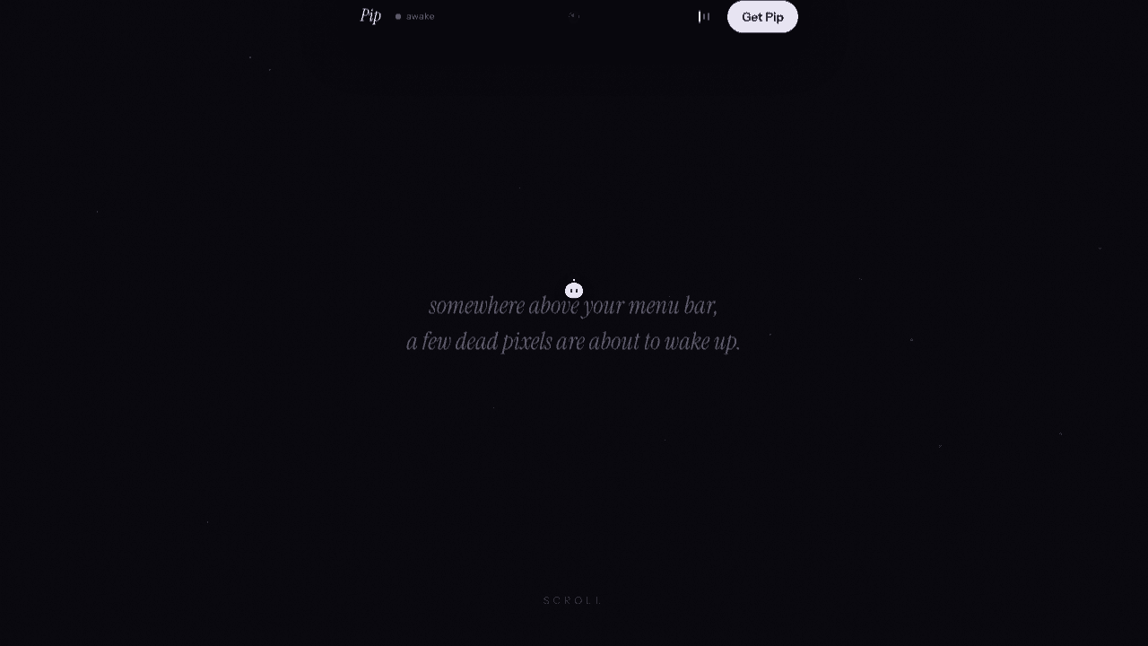 Pip  website screenshot