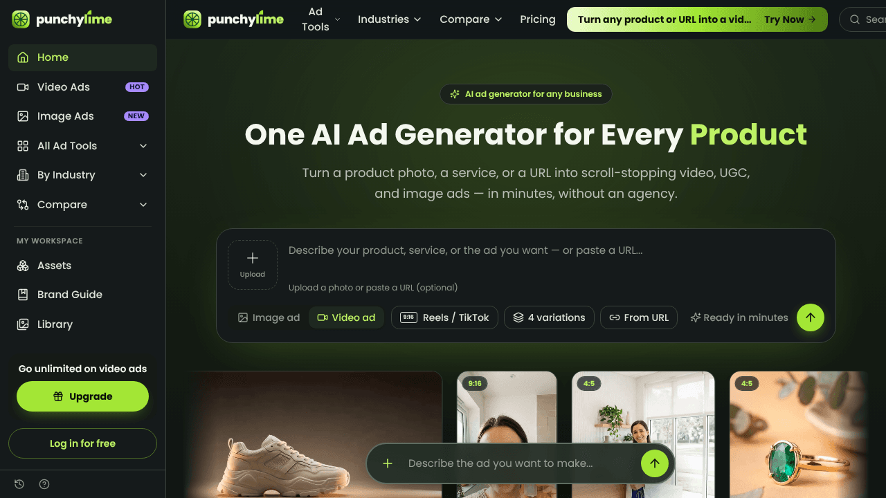 Punchylime website screenshot